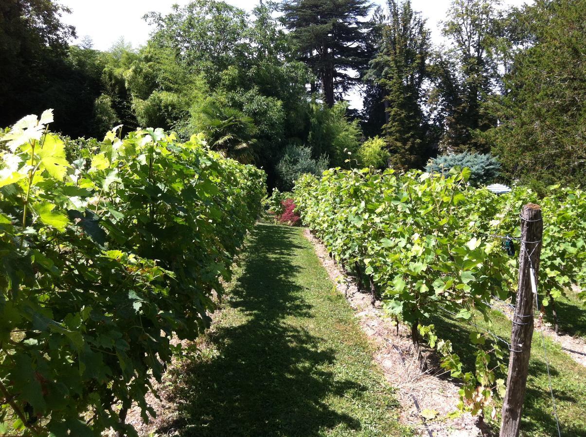Chateau De Beaulieu Saumur Eksteriør billede